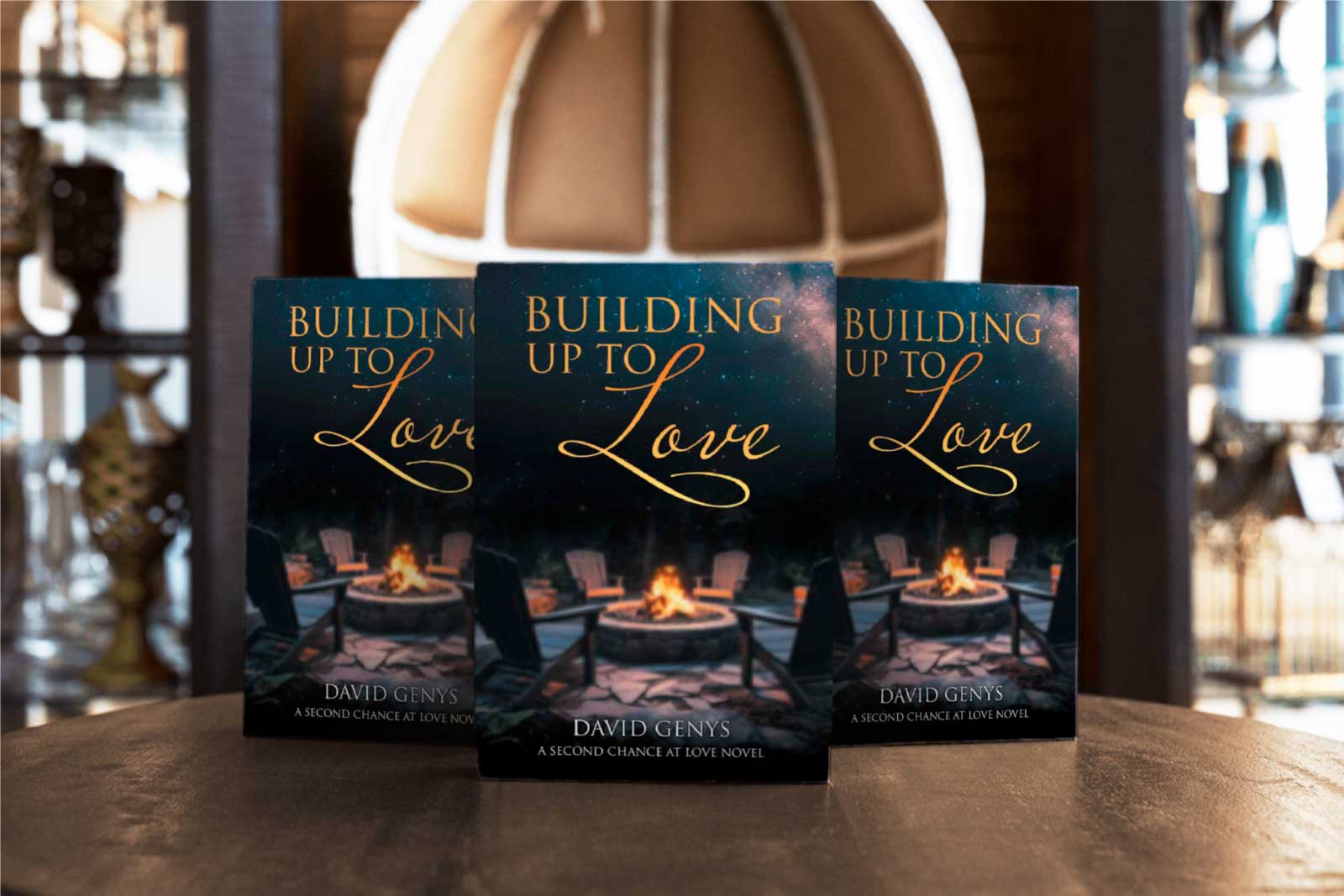 Building Up to Love book by author David Genys