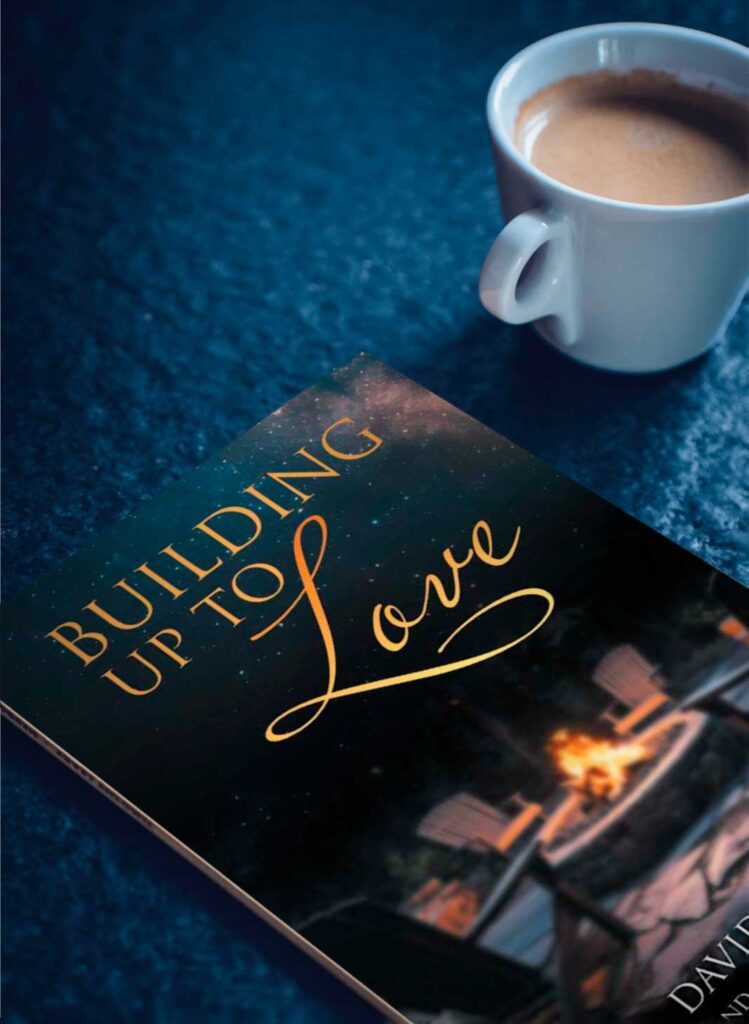 Building Up to Love book by author David Genys